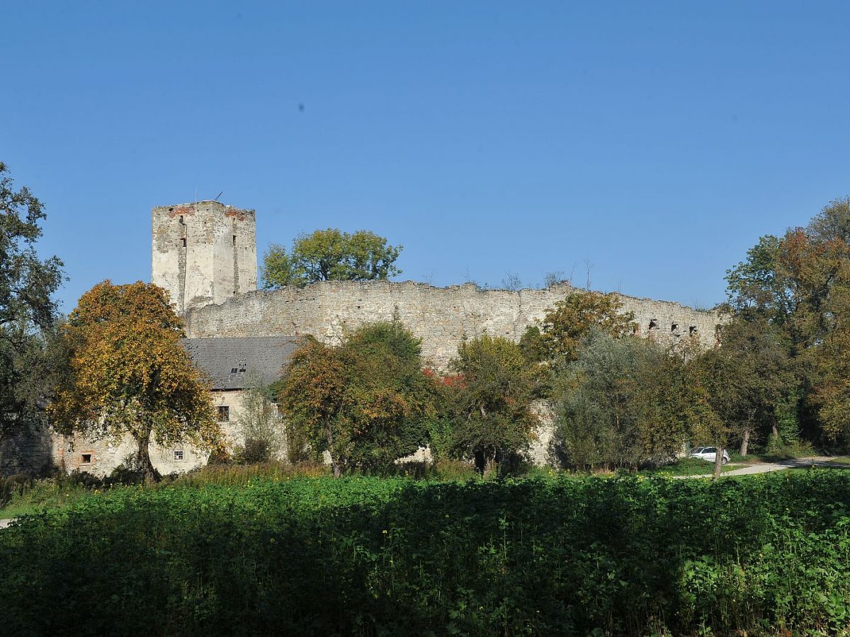 Die Burgruine Spielberg